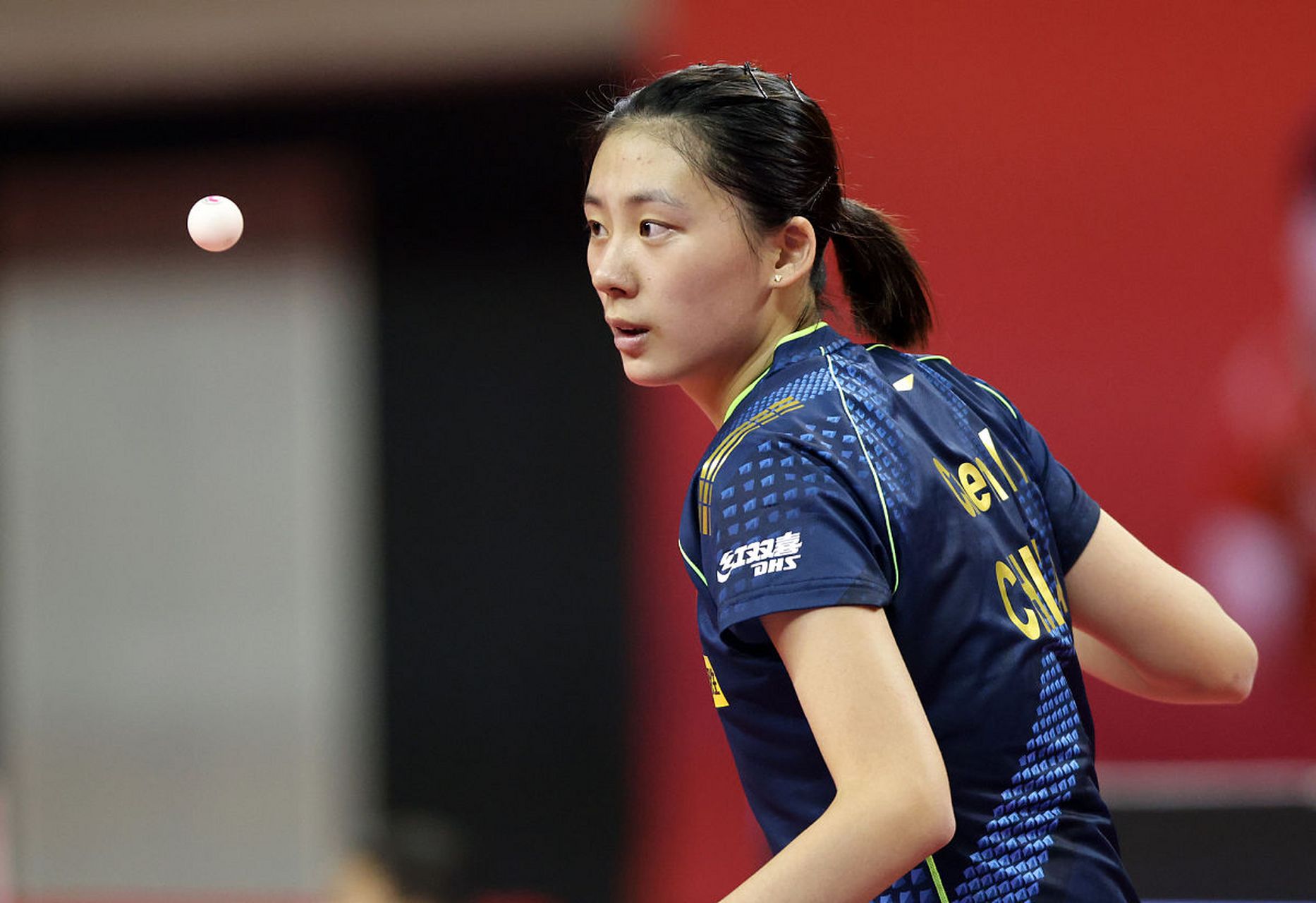 斯图加特的 斯图加特的